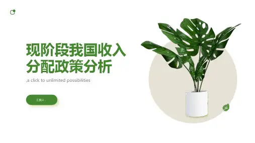 现阶段我国收入分配政策分析