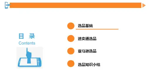 跨境电商第3章B2C平台选品PPT31页