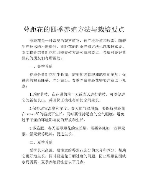 萼距花的四季养殖方法与栽培要点