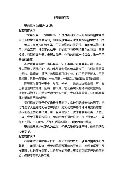 野菊花作文（精选15篇）