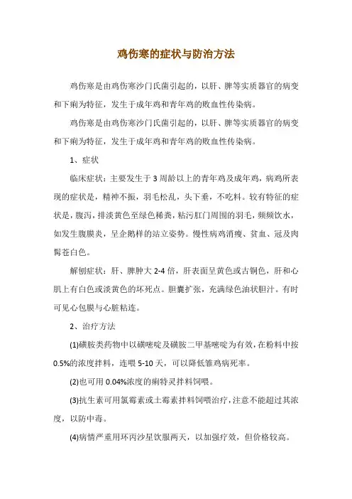 鸡伤寒的症状与防治方法