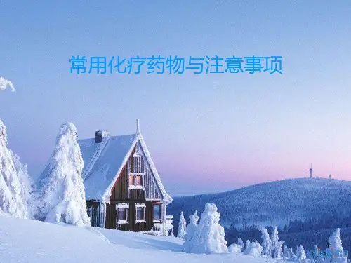 常用化疗药物及注意事项ppt课件