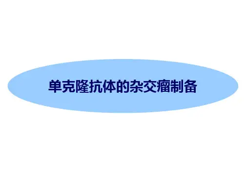 杂交瘤技术制备单克隆抗体PPT医学课件