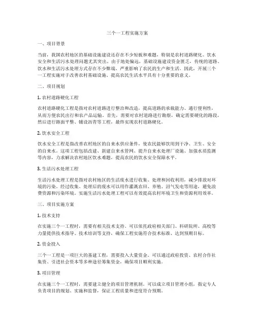 三个一工程实施方案