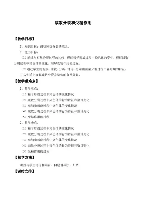 人教版高一生物必修二-2.1 减数分裂和受精作用-教案