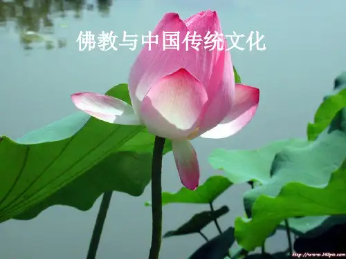 佛教(第一章)