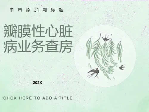 瓣膜性心脏病业务查房
