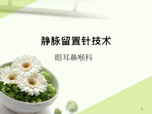 静脉留置针输液技术ppt课件