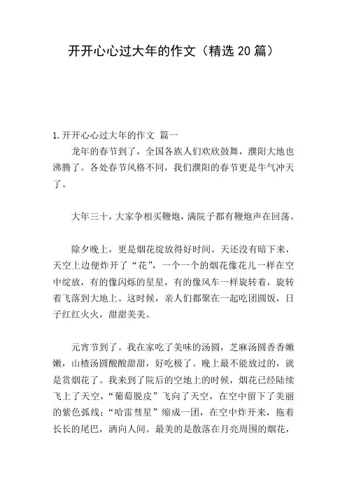 开开心心过大年的作文(精选20篇)