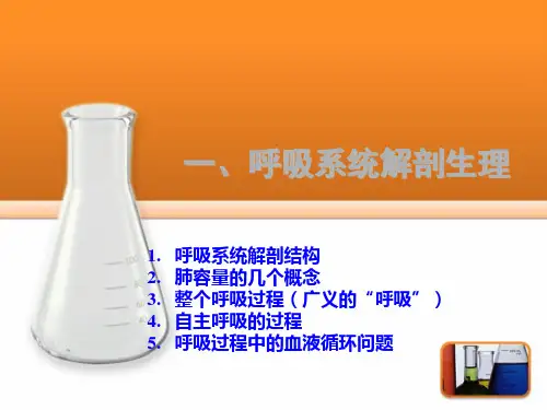 呼吸生理和呼吸参数调置