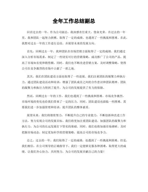 全年工作总结副总