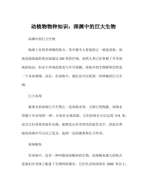 动植物物种知识：深渊中的巨大生物