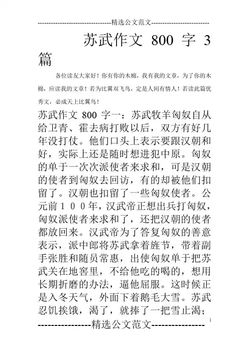 苏武作文800字3篇