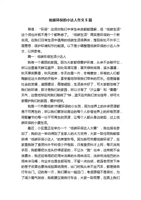 低碳环保的小达人作文5篇