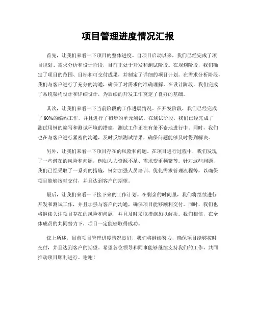 项目管理进度情况汇报