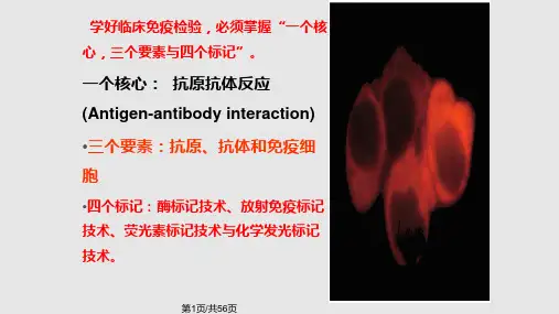 化学发光PPT课件