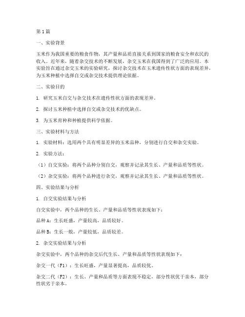 杂交玉米实验报告总结(3篇)
