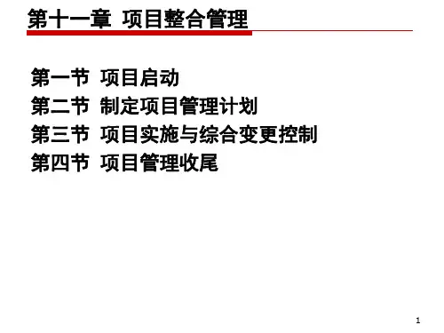 第11章 项目整合管理1