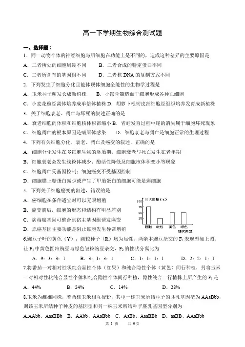 高中生物必修二期末综合测试题-doc
