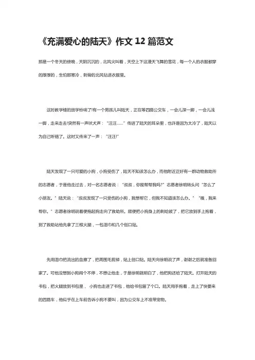 [全]《充满爱心的陆天》作文12篇范文