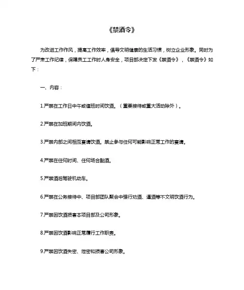 《禁酒令》——项目部