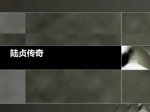 陆贞传奇