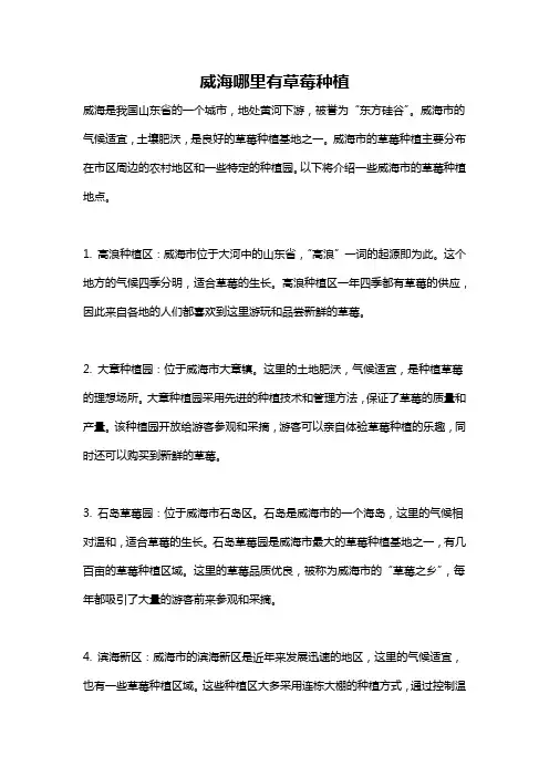威海哪里有草莓种植