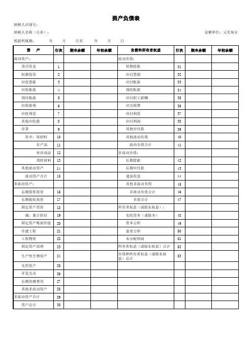资产负债表(适用小规模纳税人)