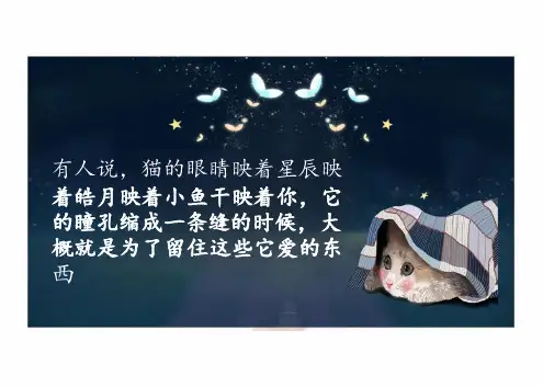 第17课《猫》课件(共32张PPT)  统编版语文七年级上册
