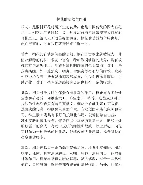桐花的功效与作用