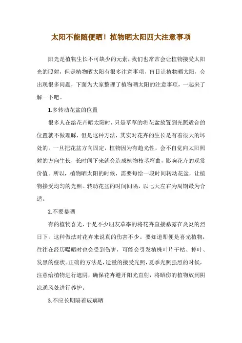 太阳不能随便晒!植物晒太阳四大注意事项