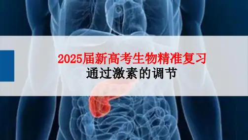 高三生物一轮复习课件通过激素的调节