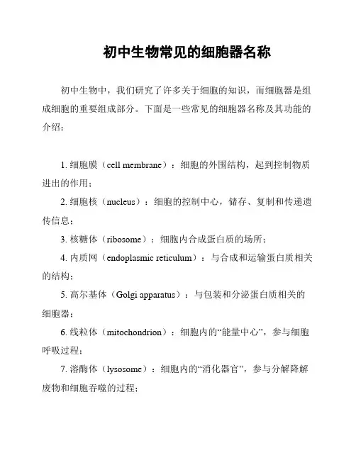 初中生物常见的细胞器名称