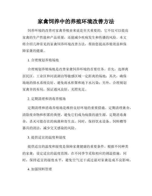 家禽饲养中的养殖环境改善方法