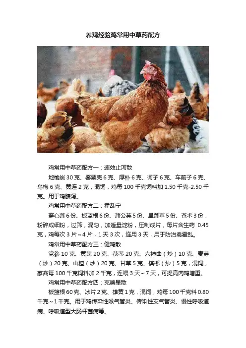 养鸡经验鸡常用中草药配方