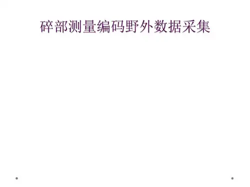碎部测量编码野外数据采集