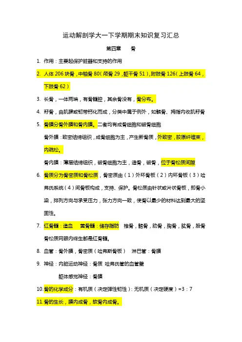 运动解剖学大一下学期期末知识复习汇总