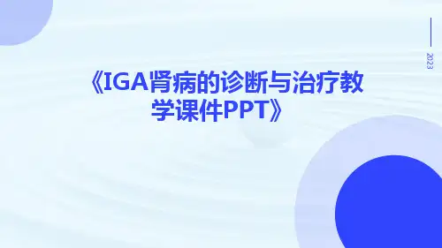 IgA肾病的诊断与治疗教学课件ppt