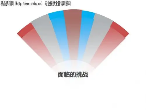 浅析企业面临的挑战(ppt15页)
