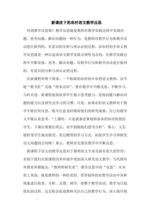 新课改下的农村语文教学反思
