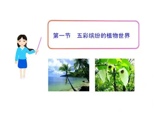 五彩缤纷的植物世界