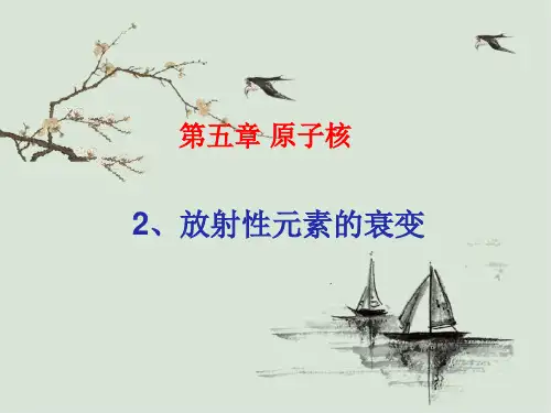 2放射性元素的衰变