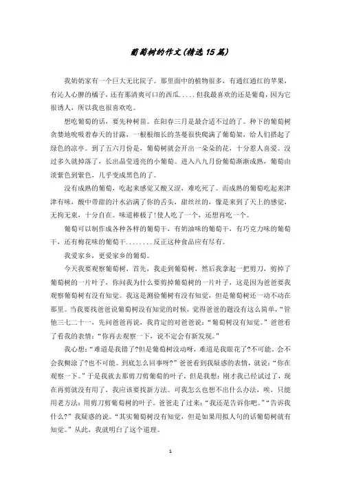 葡萄树的作文(15篇)精选