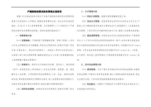 严肃财经纪律及财务管理自查报告
