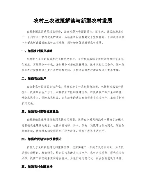 农村三农政策解读与新型农村发展