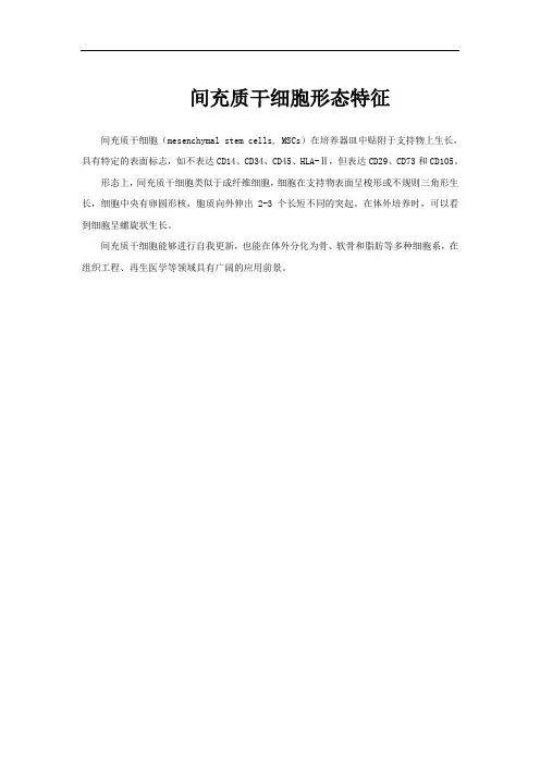 间充质干细胞形态特征