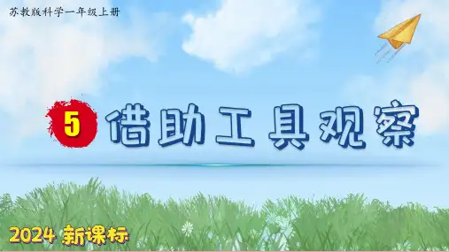 (2024)苏教版科学一年级上册-5 借助工具观察 PPT课件
