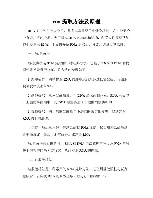 rna提取方法及原理