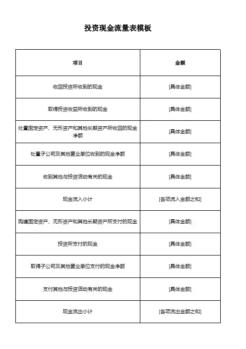 投资现金流量表模板