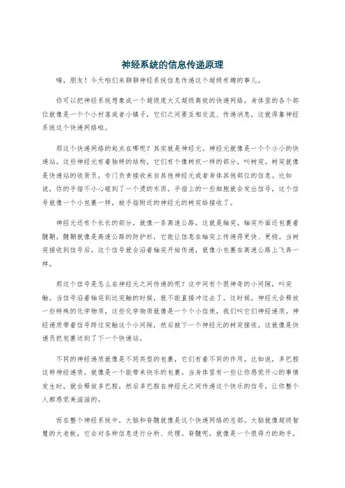神经系统的信息传递原理